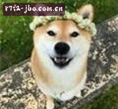 张浩